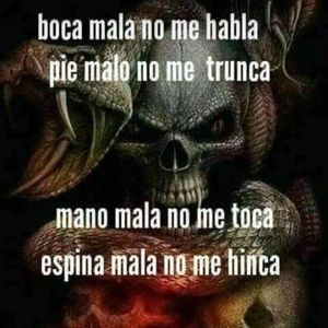 Meet your Posher, Divina